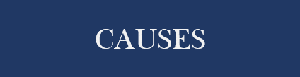 causes